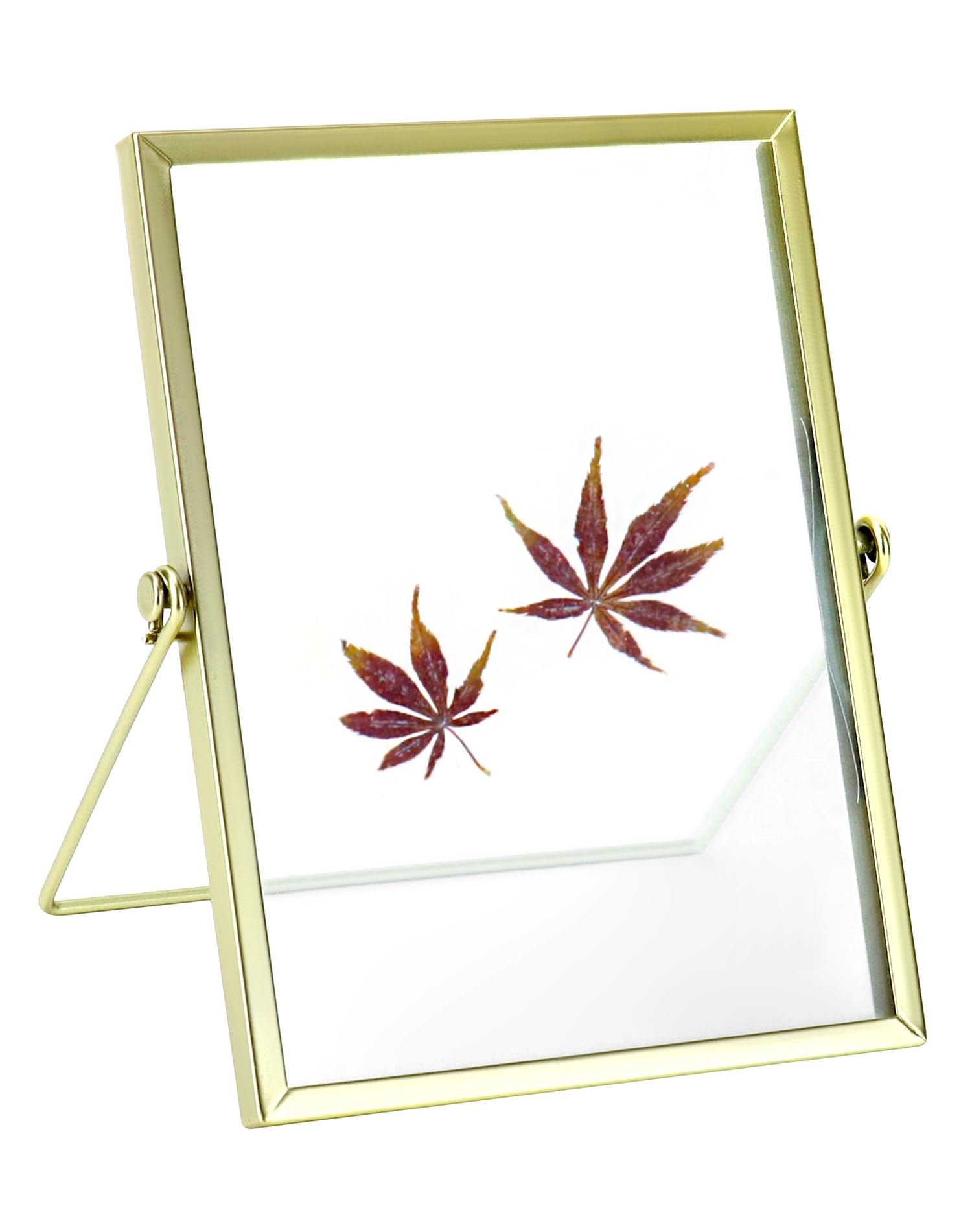 QWORK® Gold Picture Frame Floating Frame 6x8 Inch Tabletop Display Glass Frame for Ornament Specimen Plant Artwork