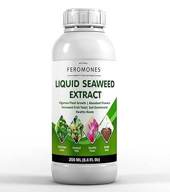 Organic Seaweed Liquid Fertilizer for Plants - Organic Fertilizer for Home Gardening - Pure Seaweed Extract (250 ML)