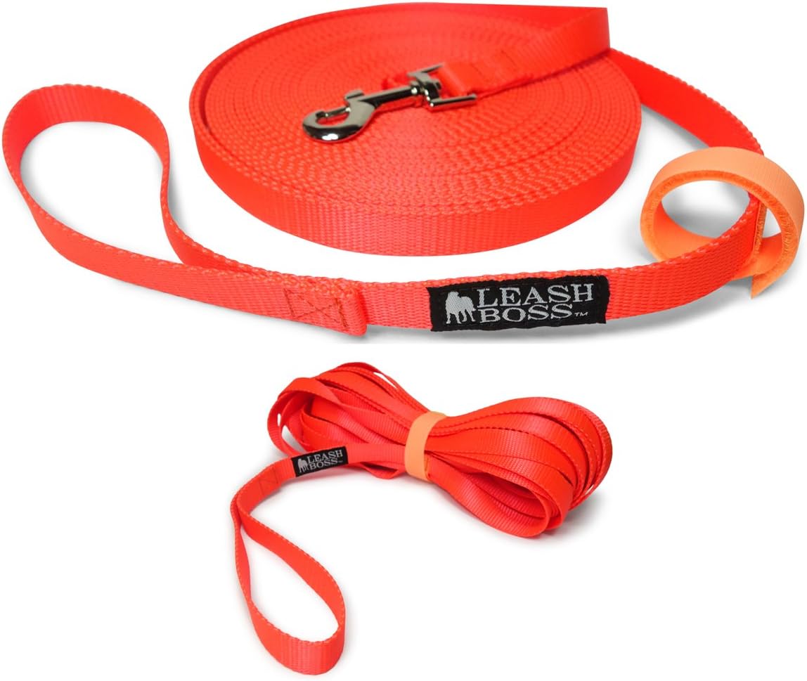 50 ft dog leash