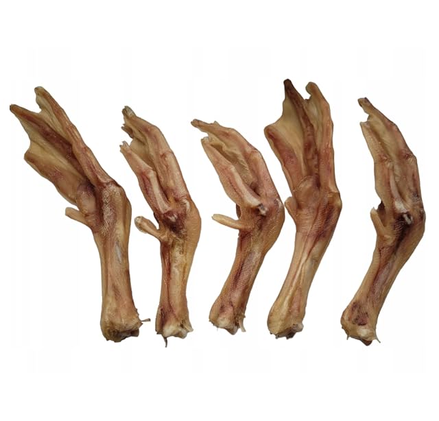 Foto 3 de 6 de Lucze Premium - Juego de 5 patas de gallina para perros, 100 % natural, para masticar