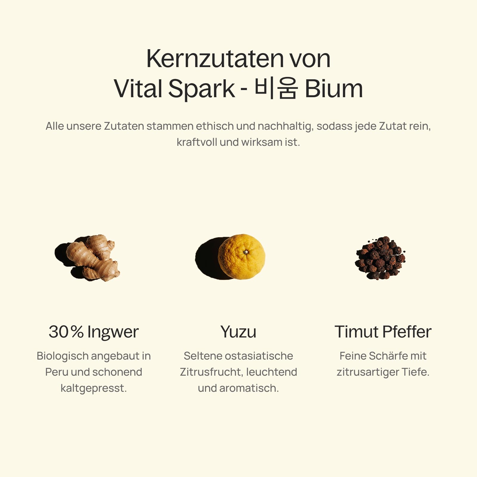ZENGER – Premium Bio Ingwer Elixir 700 ml | Natürliches Ingwerkonzentrat | Alkoholfrei | Für Tee-Rituale, Mocktails & Daily Wellness (Vital Spark - BIUM)
