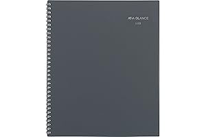 Plan with Clarity: The 2023 Weekly & Monthly DayMinder Planner