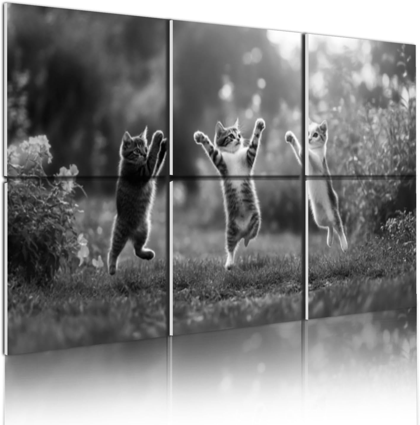 Art Acoustic Panels Three cats summer sunny meadow they play green grass stand funny 8 Pack Decorative Sound Absorbing Wall Panels 48"x32" Noise Canceling Soundproof Padding Room Decor for Office