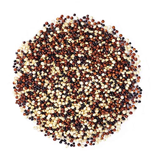 image for Food to Live Organic Tri-Color Quinoa, 10 Pounds — Non-GMO, Raw, Who