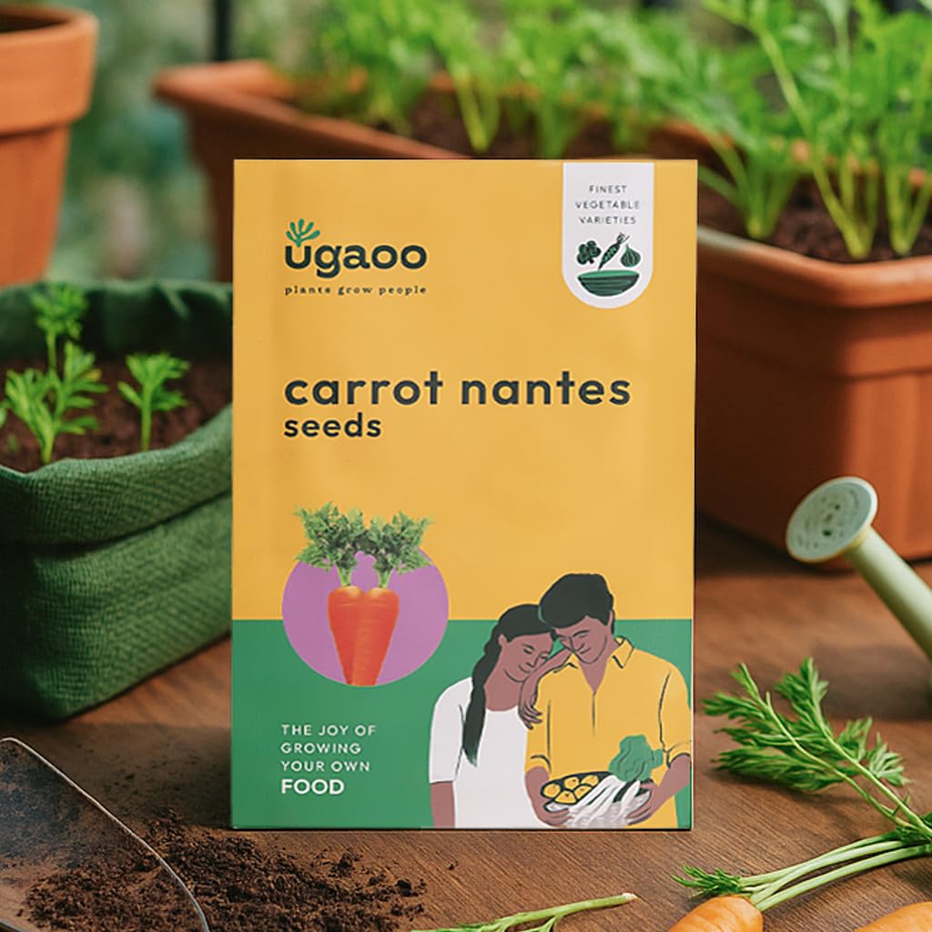 UGAOO Improved Carrot Nantes Vegetable Seeds (Red, Pack of 2g)-image-25