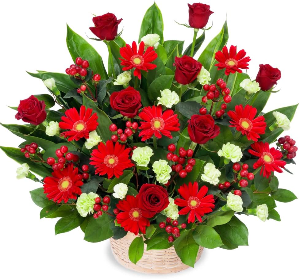 12月の誕生花 赤バラ 赤バラと赤ガーベラの豪華なアレンジメント Ya12 花キューピット 誕生日 お祝い 記念日 感謝 友達 輝く高品質な お礼 母 プレゼント 父 友人