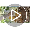 MIXXIDEA Wooden Squirrel Feeder Table with Water Bowl, Squirrel Picnic Table for Outside with Umbrella, Brown Squirrel Feeder with Corn Cob Holder Cute Chipmunk Feeder (Blue)
