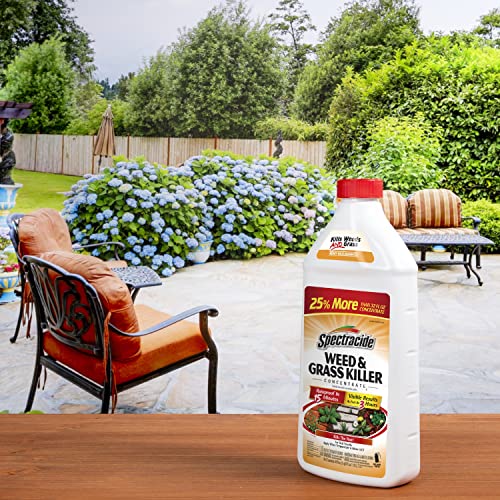 Spectracide Weed And Grass Killer Concentrate 40 Ounces, Use On Patios, Walkways And Driveways #TOP6