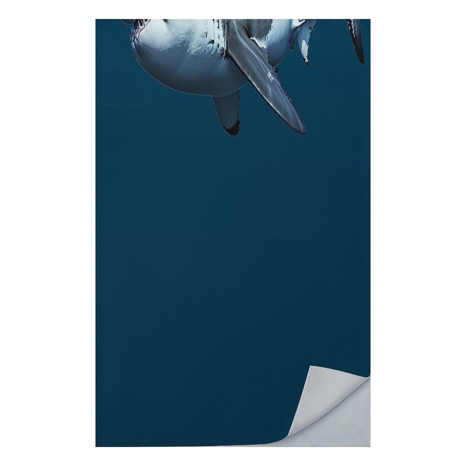 AQRJLPM Great White Shark Quick Dry Towel Cold Fabric Workout Sweat Towels Highly Absorbing Odor-Free Travel Towel for Hot Yoga Tennis Running Exercise Working Out Camping
