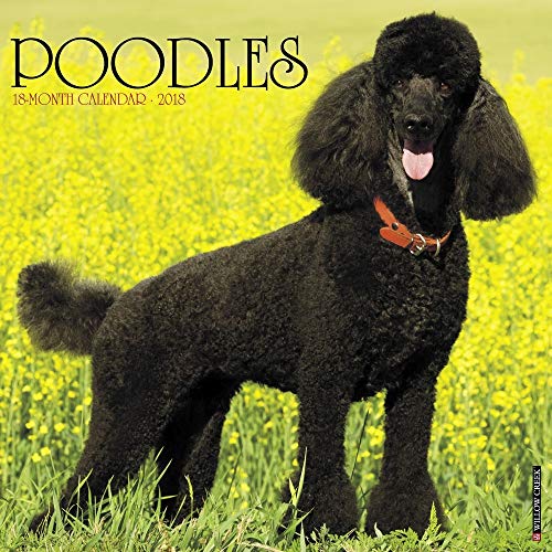Just Poodles 2018 Calendar