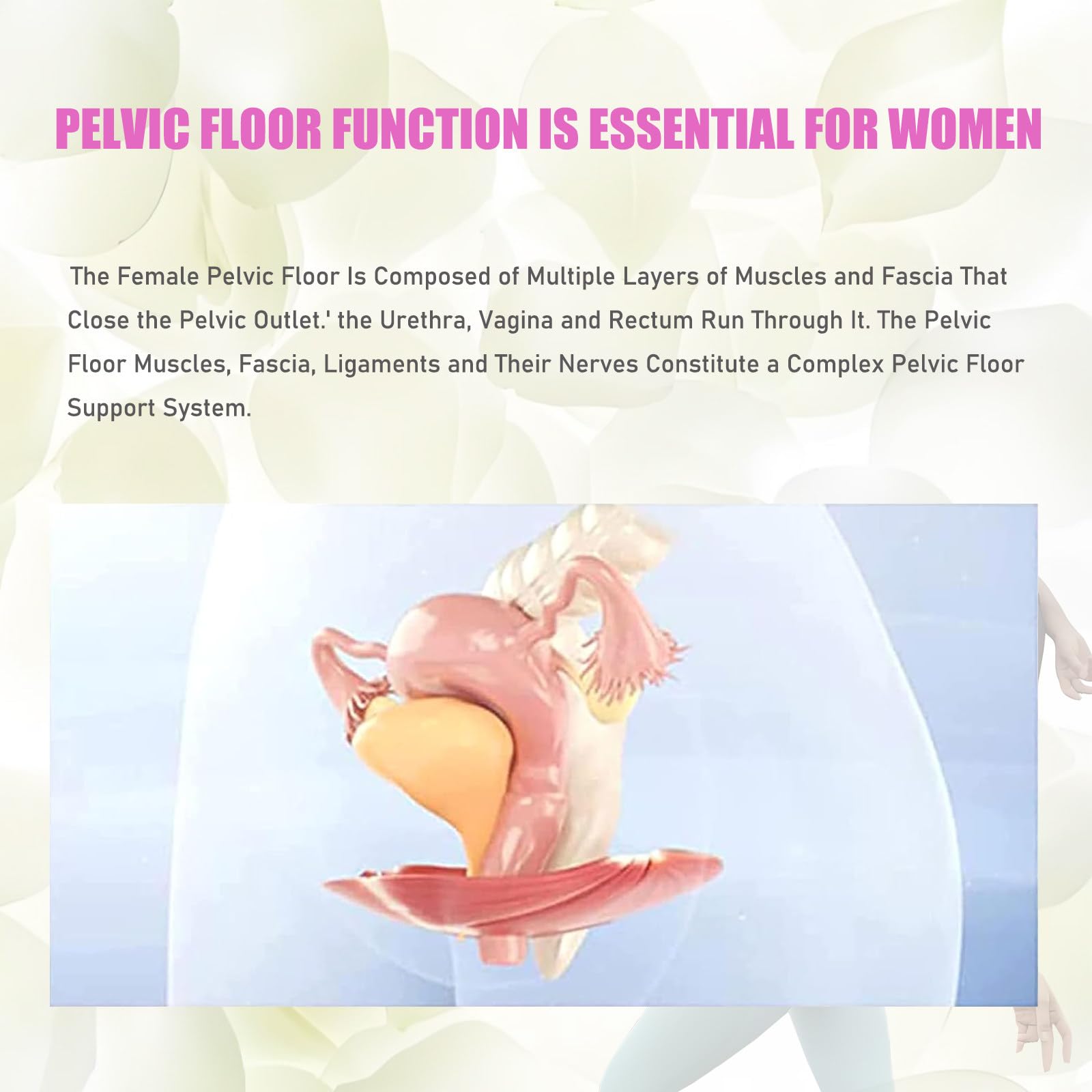 Allenatore muscolare del pavimento pelvico, dispositivo magnetico per il recupero post-partum e la salute della prostata, migliora la forza, supporta il condizionamento muscolare per uomini e donne