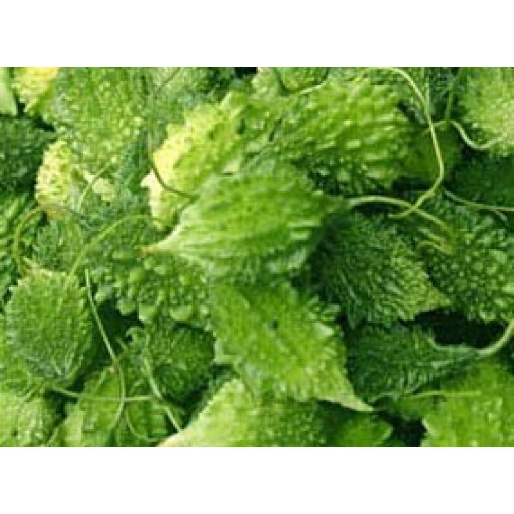 Rossiya va SSSRning eng mashhur porno yulduzlari