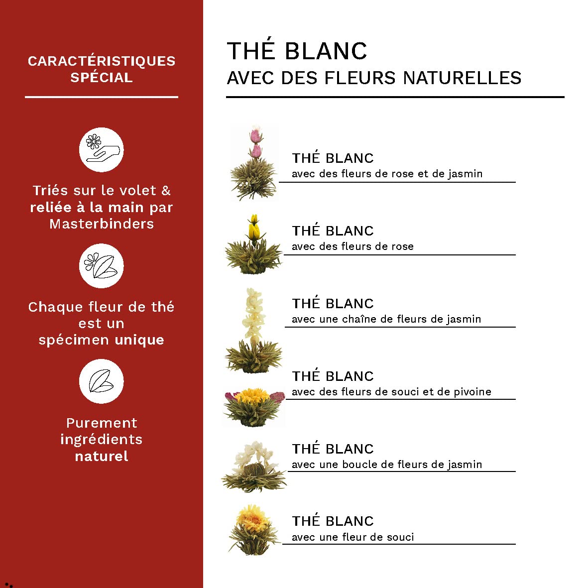 Creano 36 Fleurs de Thé en vrac – Thé blanc 6 variétés de roses de thé – Pour amateurs et restaurants – Grand format dégustation prolongée – Thé en Fleurs