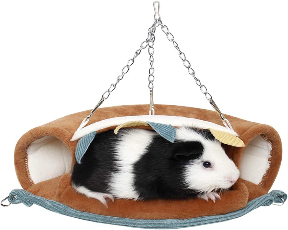 guinea pig swing