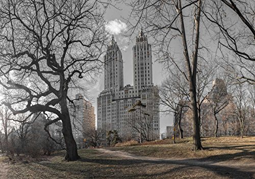AFFICHE sur TOILE ENCADRÉ Manhattan New York pour un salon moderne au style loft urbain