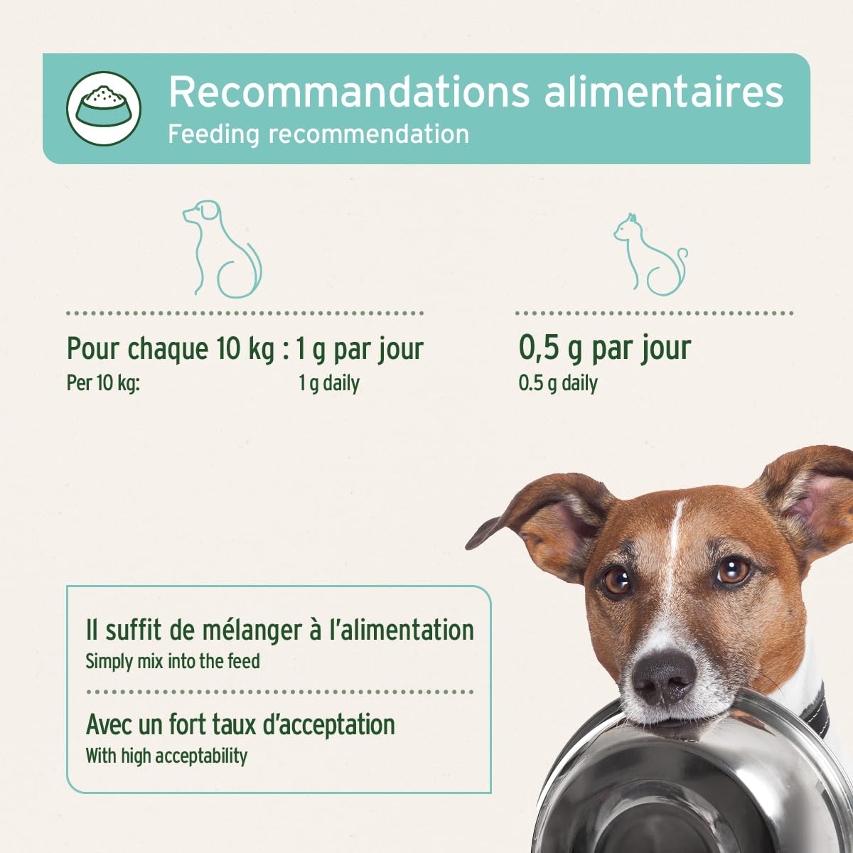 AniForte Denta Clean & Care 300 g – Poudre Naturelle Soins Dentaires pour Chiens & Chats, Anti-Plaque et Haleine Fraîche - Conserve Hygiène buccale