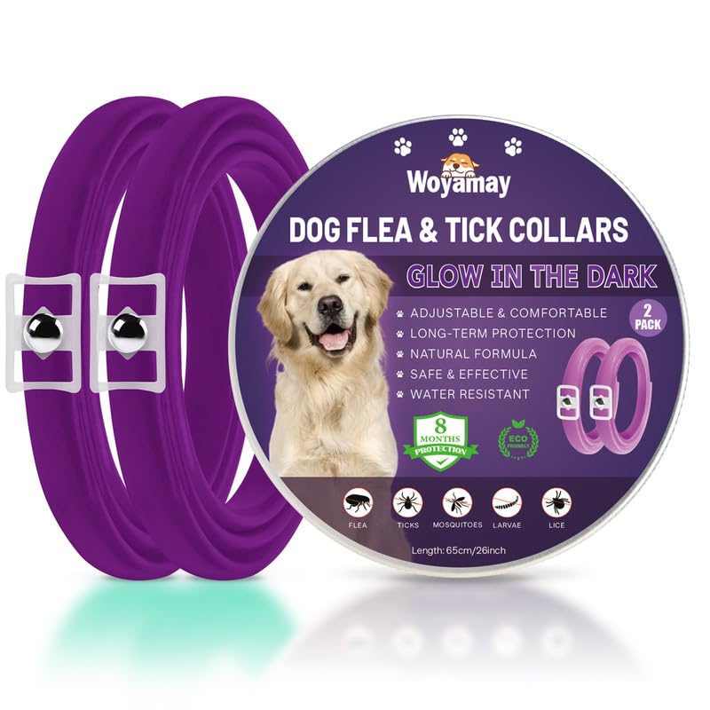 Woyamay Collares Antiparasitarios para Perros, Luminoso Collar Antipulgas Perros, Impermeable Collar Perro de Pulgas y Garrapatas, 8 Meses de Protección para Perros de Todos los Tamaños Púrpura, 2 Pcs