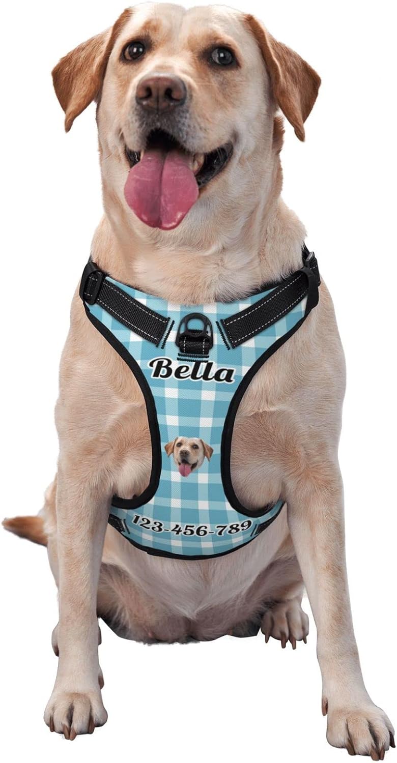 Custom Dog Harness with Name and Phone Number, Dog Name Dog Harness, Personalized No Pull Heavy Duty Reflective Dog Vest with Name, Phone Number, Logo, Photo for Small Medium Large Dog - with Leash
