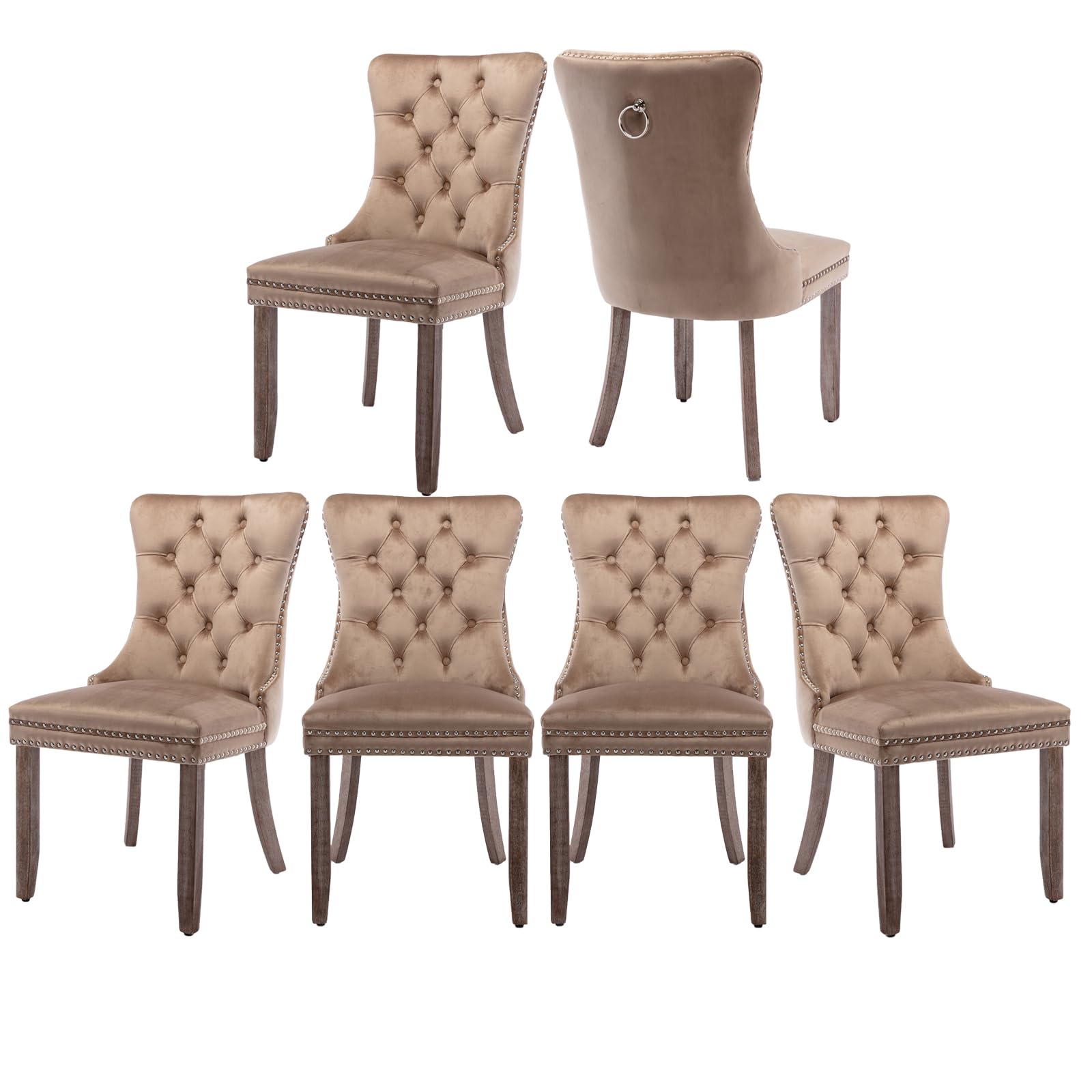 MZDOO Velvet Dining Chairs Set of 6, Tufted Upholstered Dining Room Chairs with Back Ring Pull, Nailhead Trim and Solid Wood Legs, Modern Dining