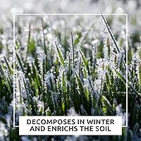 Vista 4 de Semillas de parcela de comida de venado de cola blanca Mezcla de avena de centeno de trigo con trébol de rábano de nabo Mezcla de búfalo