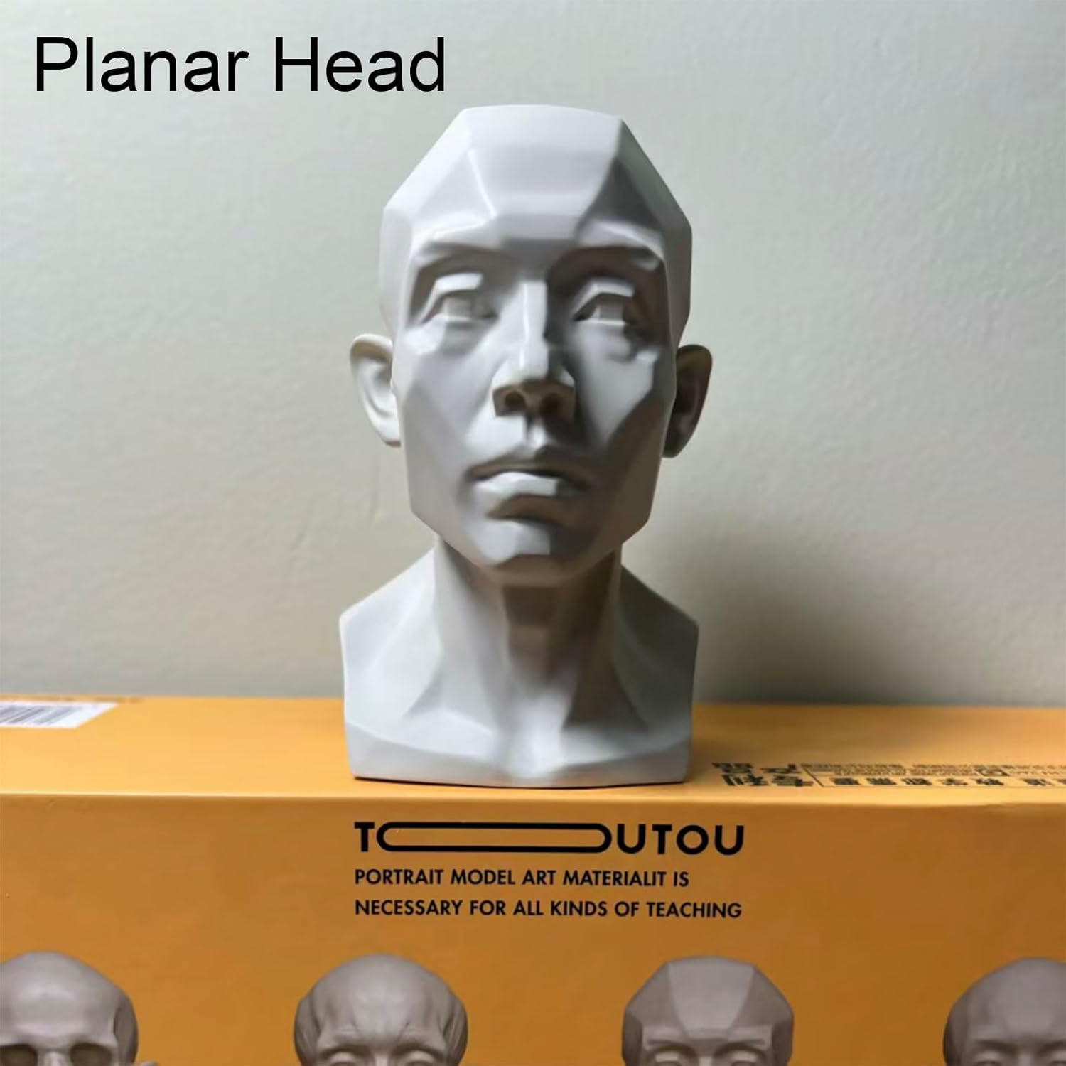 Generic 4 Pack Head Model for Drawing Reference, Artists Manikin, Skull Muscle Plane Heads Set, Color White, 13.2cm