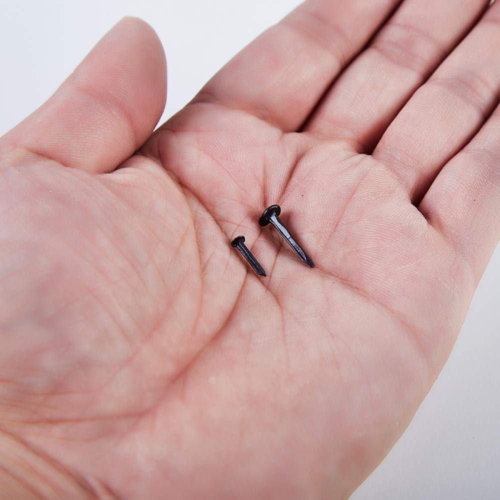 Clavos de ferretería, clavos de acero para ladrillos, 90 clavos for zapatos, for, for cuero apestoso, cuadrados, 10 mm de largo, piezas