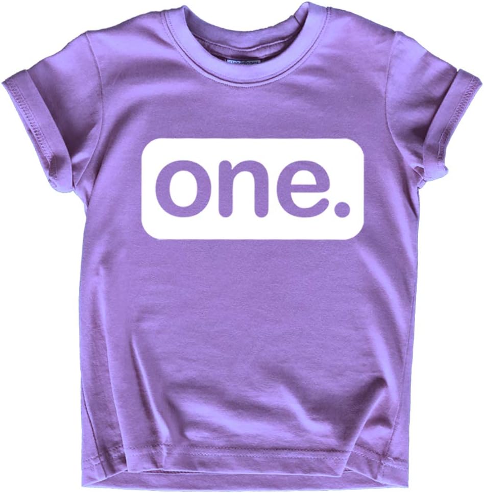 First Birthday Outfit Girl 1st Birthday Girl Shirt one Year Old Baby Girls Gifts