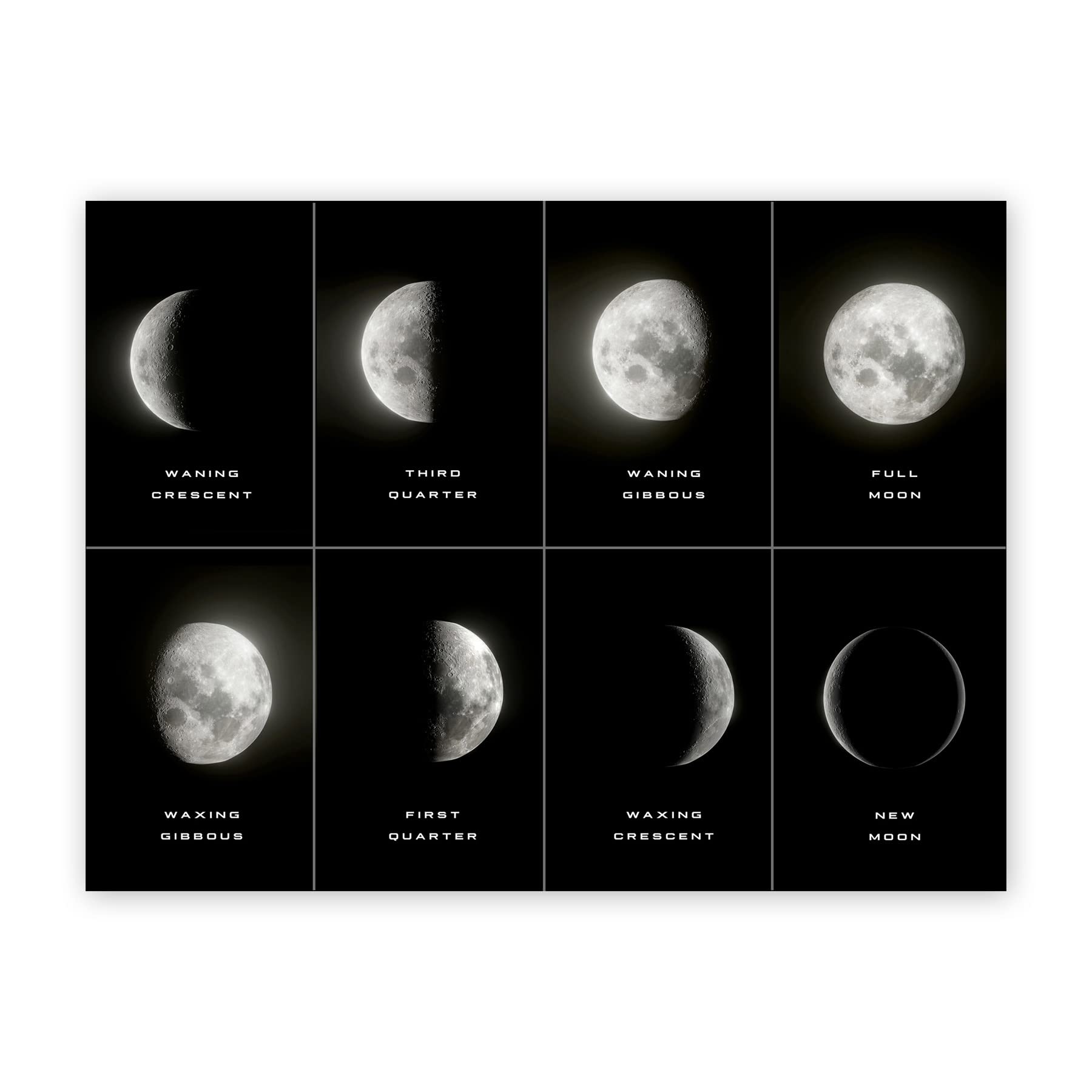 Artery8 Celestial Phases of the Moon Lunar Astronomy Astrology XL Giant Panel Poster (8 Sections)