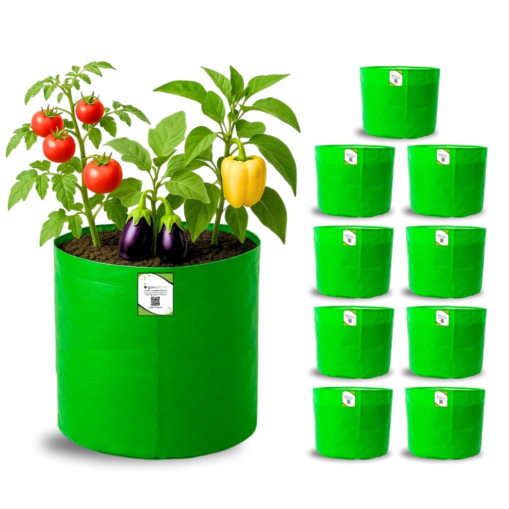 Big Fruit Plant Grow Bags - Organic Bazar (Pack of 2) -24 Big Fruit Plant Grow Bags - Organic Bazar (Pack of 2) -24