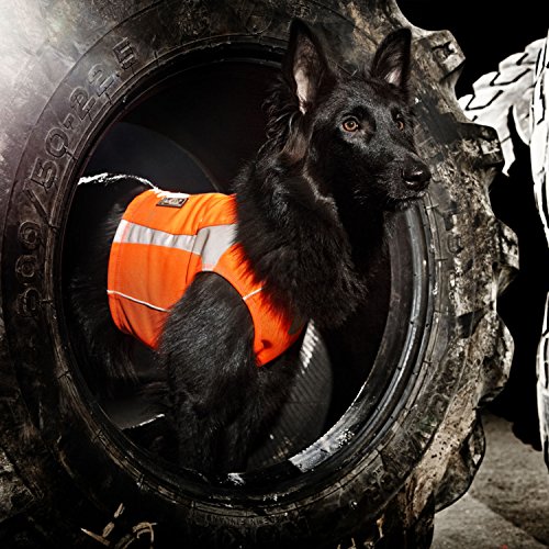 Hurtta Hundeweste Polar, Warnweste