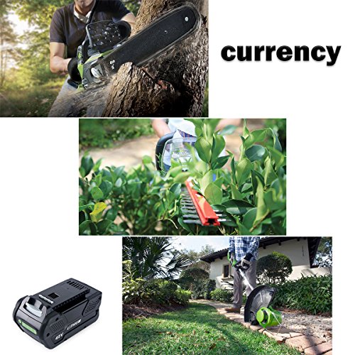 Biswaye 29472 Replacement Lithium Battery 40V 5.0Ah for GreenWorks 40V G-MAX Power Tools 29462 29252 20202 22262 25312 25322 20642 22272 27062 21242