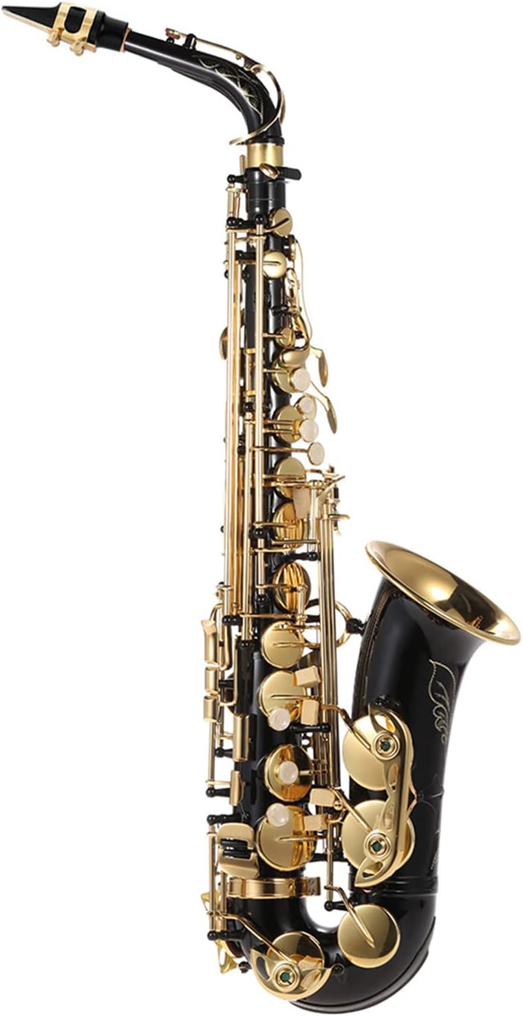 - Eb Alto Saxophone Brass Lacquered Gold E Flat Sax 82Z Key Type Woodwind Instrument with Cleaning Brush Cloth Gloves Strap Padded Case