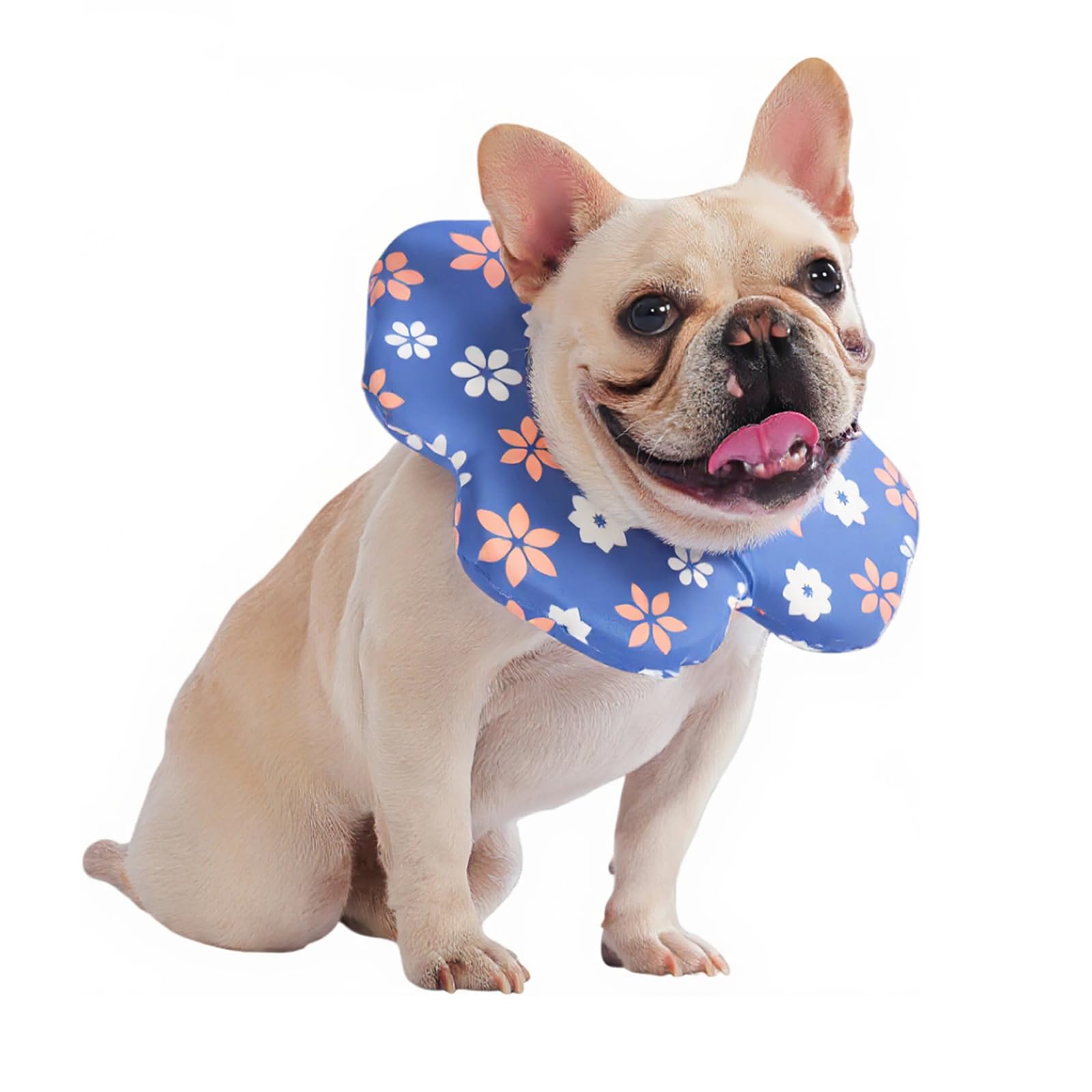 PetWarm Dog Recovery Collars, Recovery Collar for Dogs, Comfortable Lightweight Design for Licking Prevention, Soft Collar for Dogs After Surgery Flower Design, Flower Pattern, Blue, L
