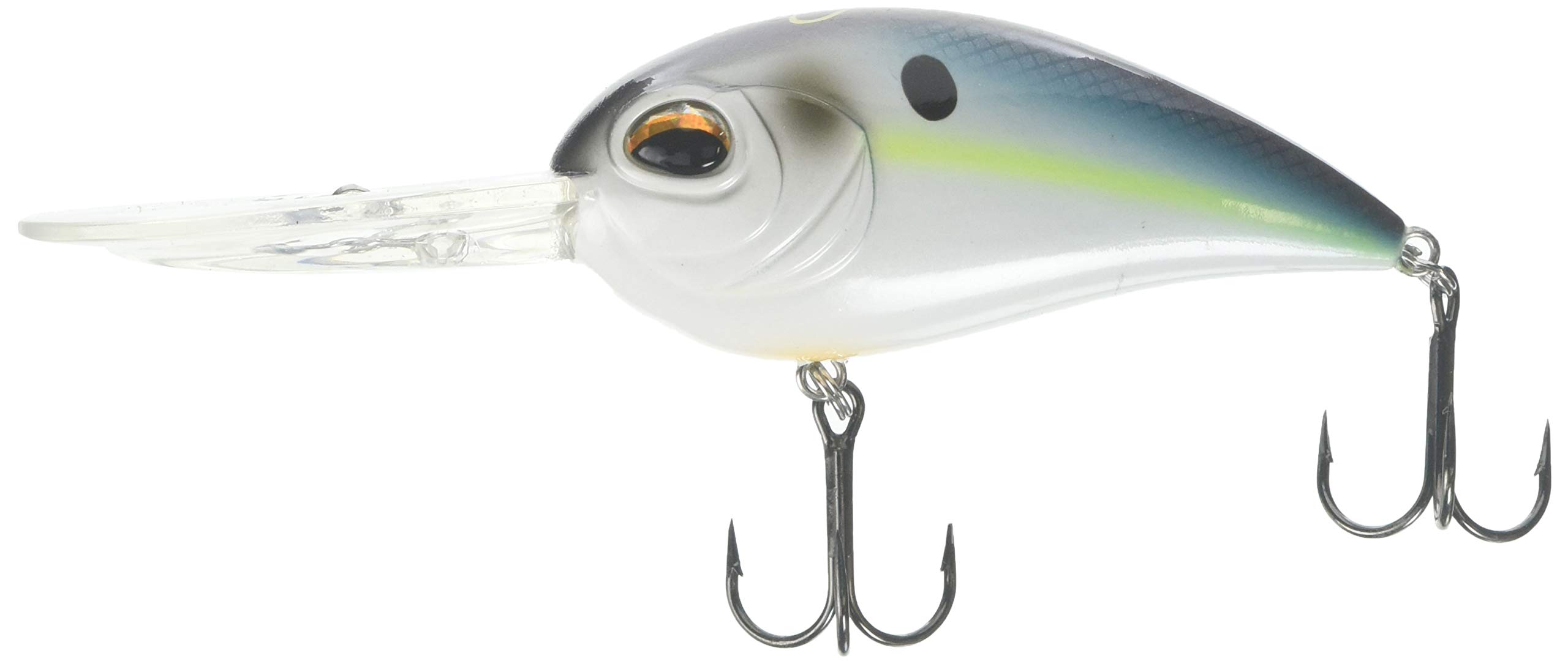 Jenko CD25GS CD25-90mm 25' Deep Diving Crank Bait Gizzard Shad 1 3/4 oz : Sports & Outdoors
