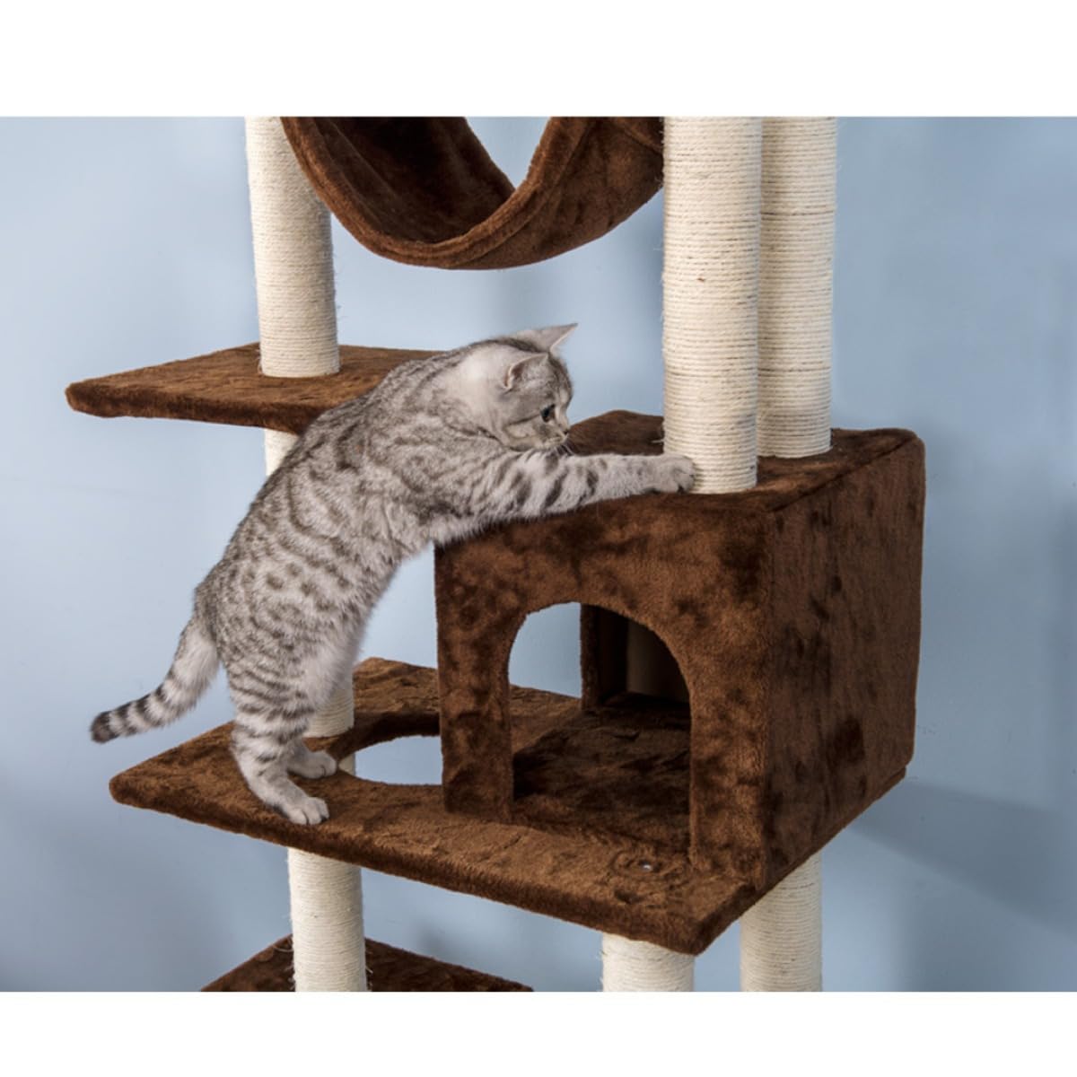 Amazon | キャットタワー 突っ張り おしゃれ 全面麻紐 全高235-258cm