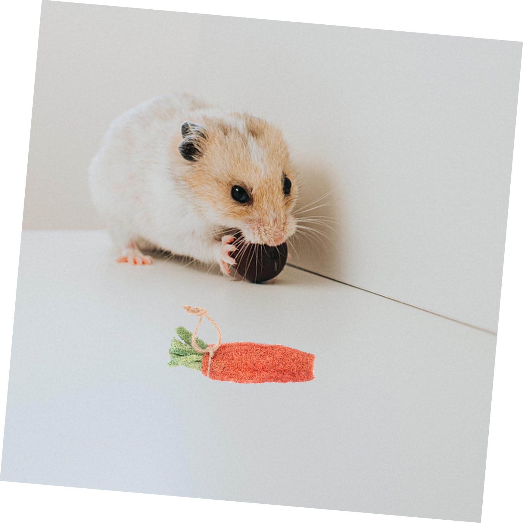COLLBATH Jouets À Mâcher pour Petits Animaux 8 Pièces Tubes De Paille Jouets pour Lapin Hamster Chinchilla Amusant Santé Aléatoire