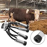 Durable y no tóxico --- Material de grado alimenticio, seguro e higiénico, acero inoxidable extra grueso, duradero.