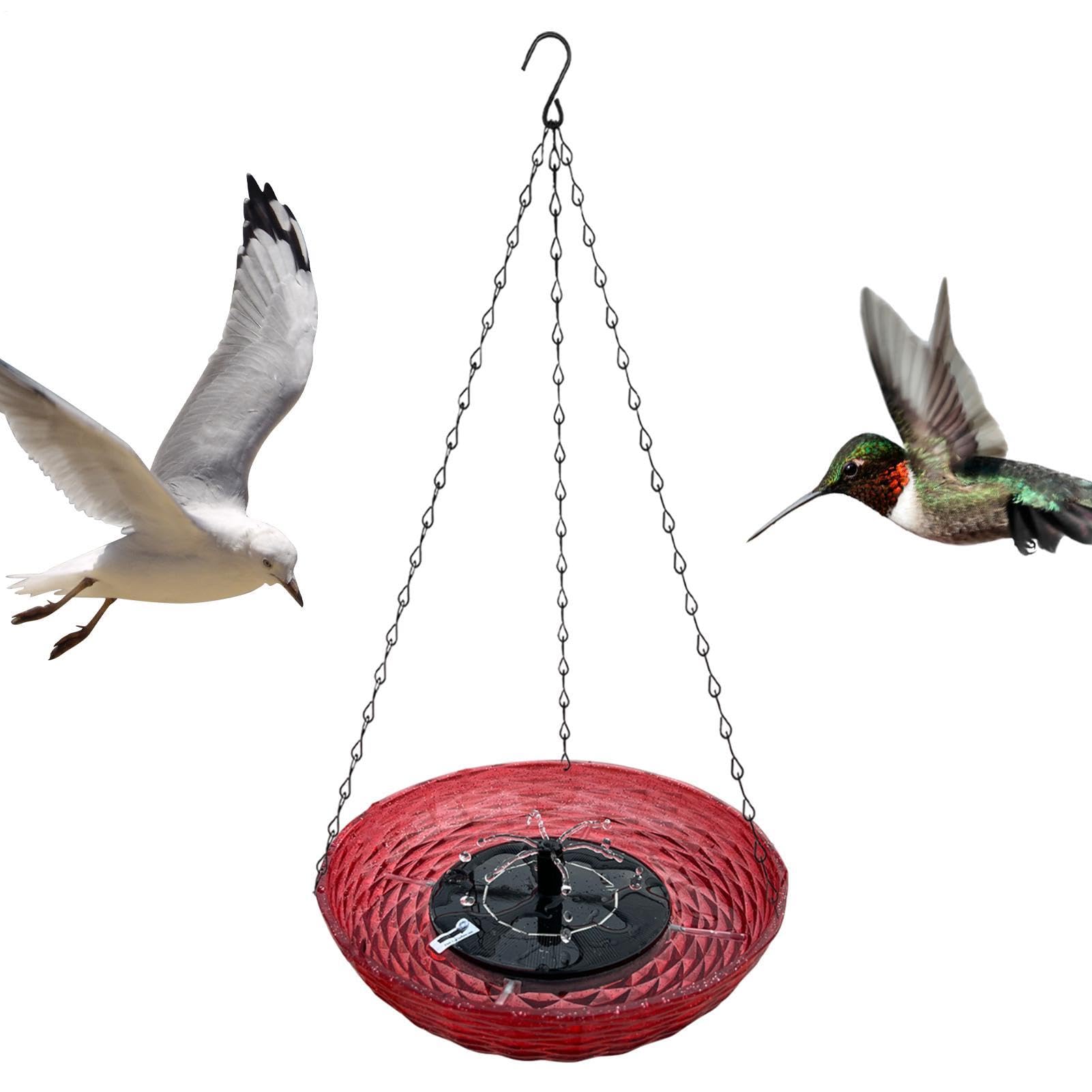 Acqua Per Uccelli Fontana Per Colibrì, Gorgogliatore, Solare, Pompa | Mangiatoia Per Uccelli Autonomo, Vasca Da Balcone Adatta A Balcone, Terrazzo, Cortile, Giardino, Decorazione Esterna