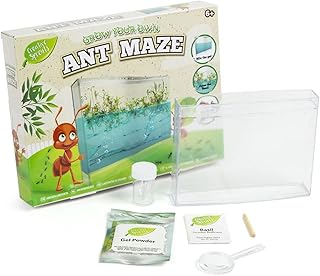 Kids Grow Your Own Ant Maze Farm Colony Habitat Kids STEM Learning Educational Project Kit