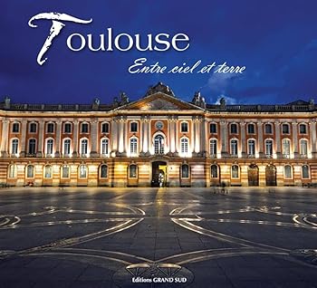 Paperback TOULOUSE - Entre Ciel et Terre [French] Book