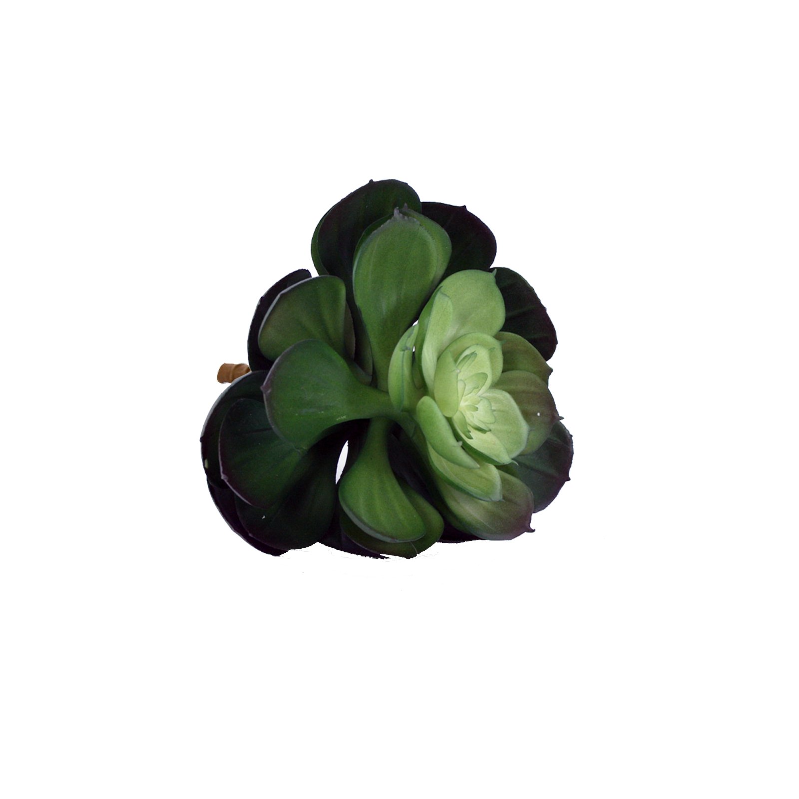 FloristryWarehouse Artificial Succulent Pick 12cm