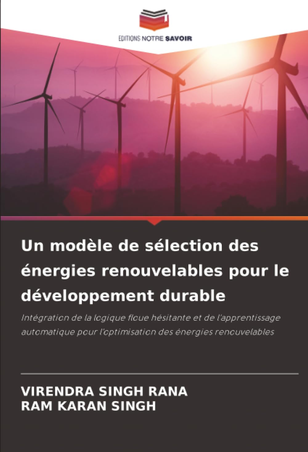 Un modèle de sélection des énergies renouvelables pour le développement durable: Intégration de la logique floue hésitante et de l'apprentissage ... l'optimisation des énergies renouvelables
