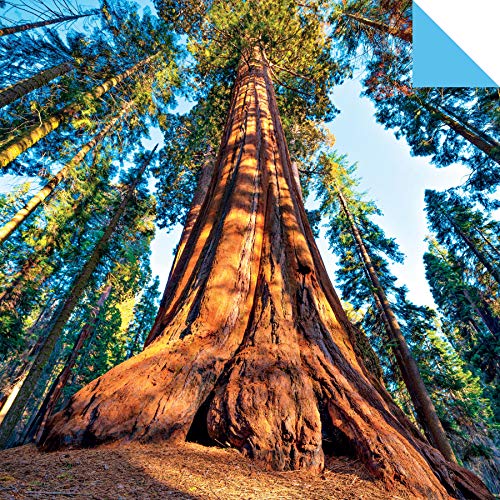 Origami Paper 200 Sheets Mother Earth Photos 6