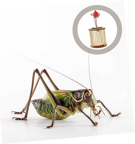 Miniatura 3 de Balacoo Crickets de transporte portátil chino cría tanque de uso de mascotas hogar bambú almacenamiento cuerda de transporte para colgar al aire
