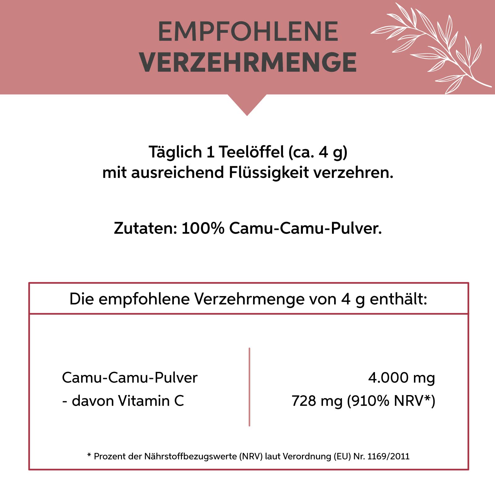 Camu Camu Pulver 1kg hochdosiert mit natürlichem Vitamin C aus Brasilien | 100% ohne Zusatzstoffe in Rohkost-Qualität