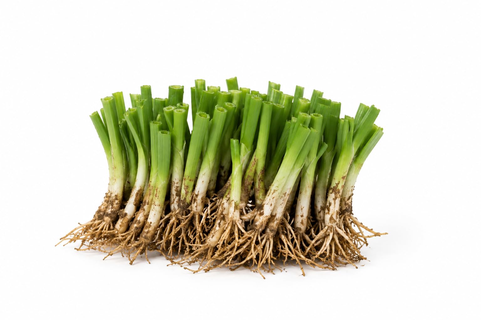 農薬不使用 野菜苗 各2苗セット 家庭菜園 Amazon.co.jp: ニラの苗 50株セット 家庭菜園 薬味野菜の苗 無農薬