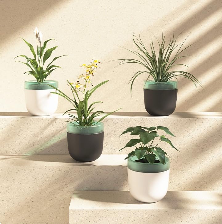 UMAI Self Watering Plant Pot - 4.5 inches (11.5 cm) Plant Pots | Plastic Automatic Watering Planters for Indoor, Outdoor, Balcony, Garden, Home, Office (Pack of 4, Multicolor) (B0CHY5GDJ6) Amazon Price History, Amazon Price Tracker