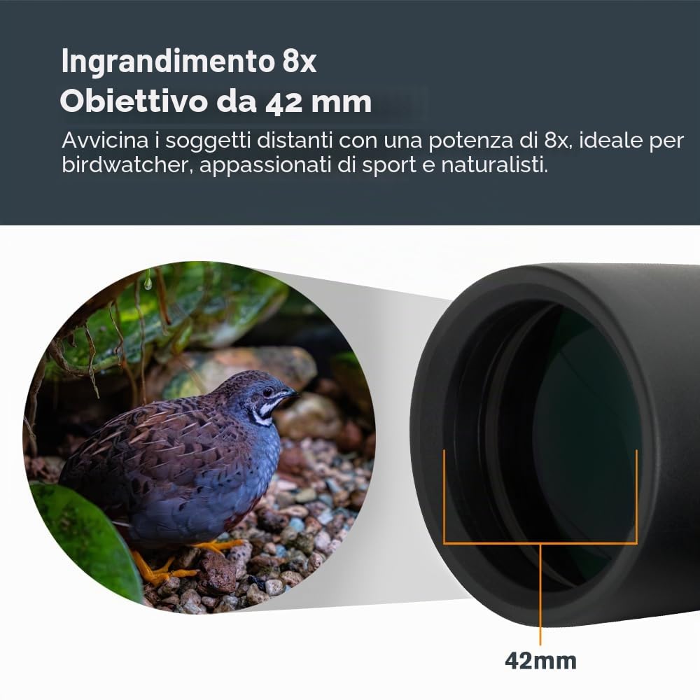 Celestron 71346 8 x 42 Outland X Binocolo, Nero, Outland X 8 x 42 Roof Prism