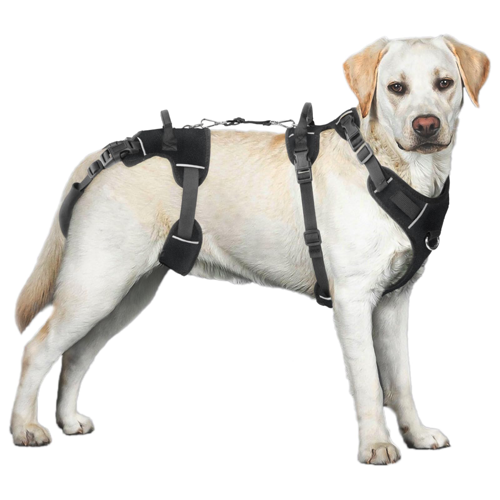 Dollephi Dog Lift Harness, Dog Lift Sling Carrier with Handle & Shoulder Sling, Support Harness for Rear Back Legs Helps,Disabled,Arthritis,Joint