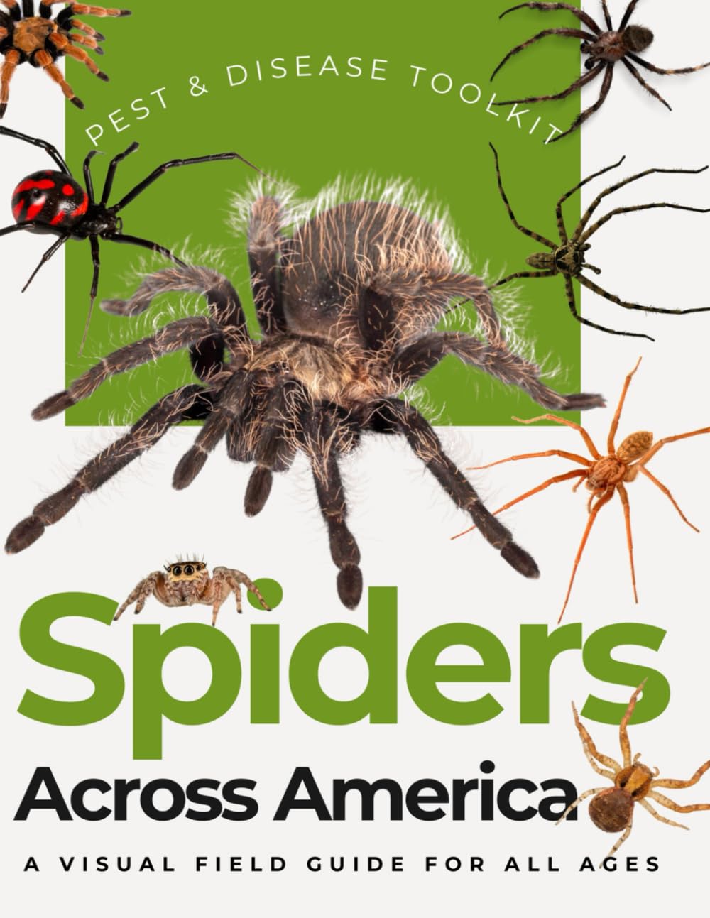 Spiders Across America: A Visual Field Guide for All Ages